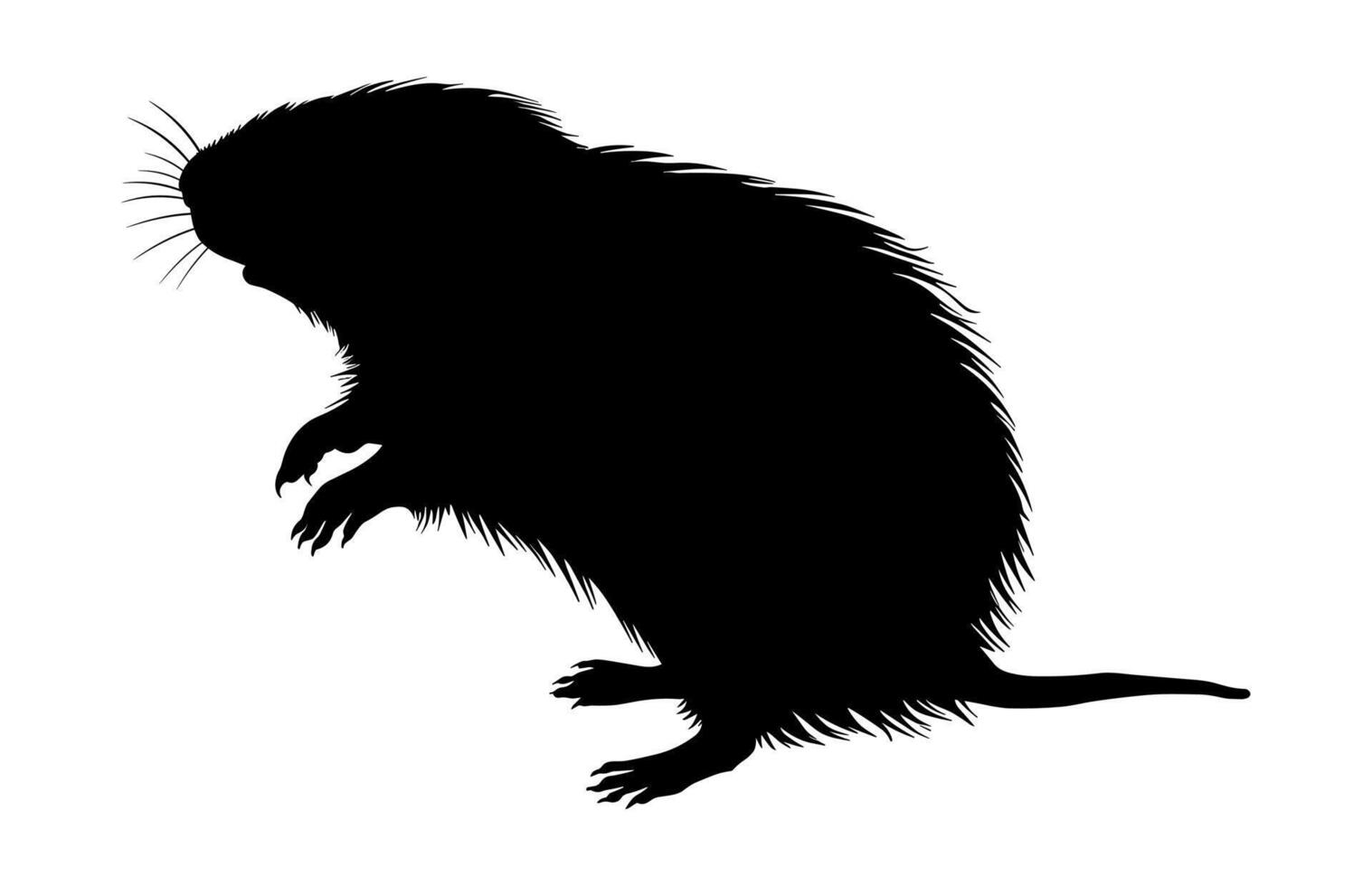Mole Silhouette Black Clipart vector