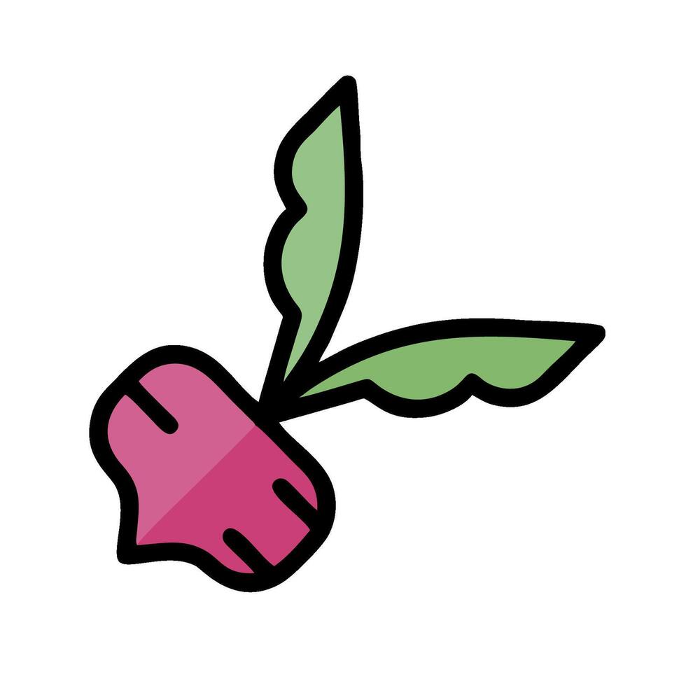 A beet is shown in a flat style vector
