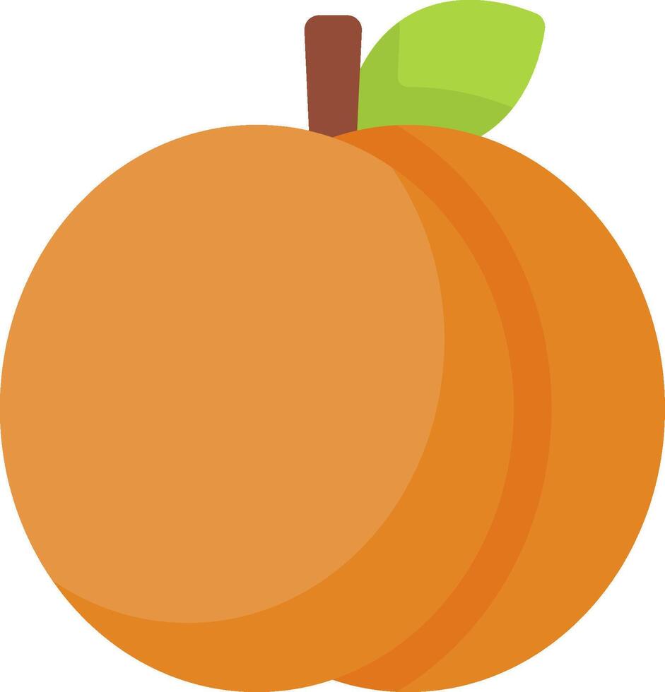 An orange fruit is shown on a white background vector