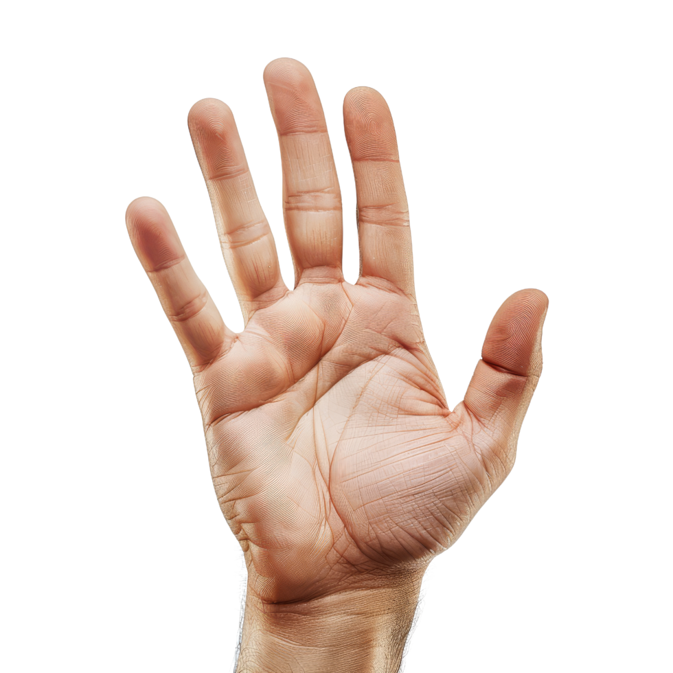 Open Hand Palm Up png