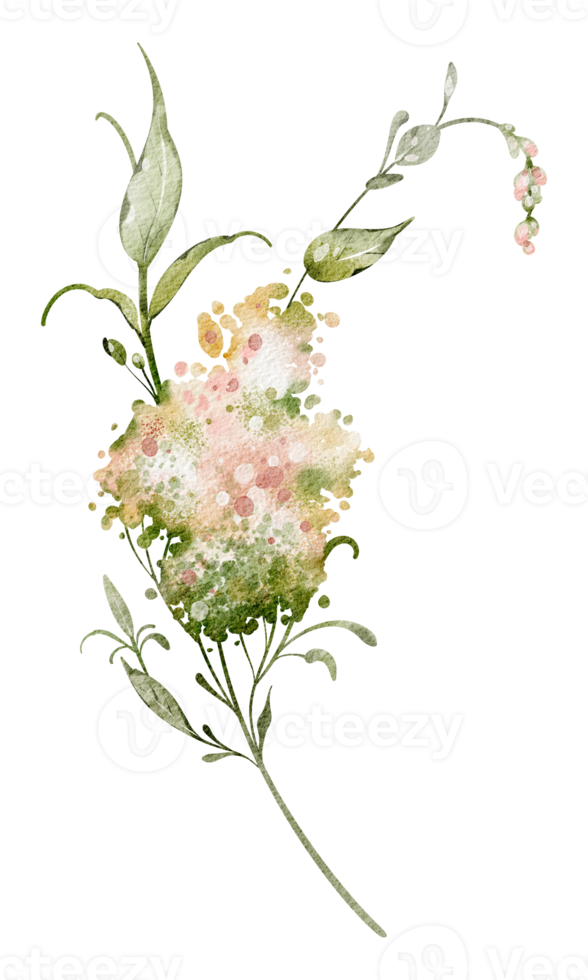 Watercolor Blooming Twig with small inflorescences. Botanical element meadowsweet on isolated background for wedding invitations or greeting cards. Hand drawn sketch of plant. png