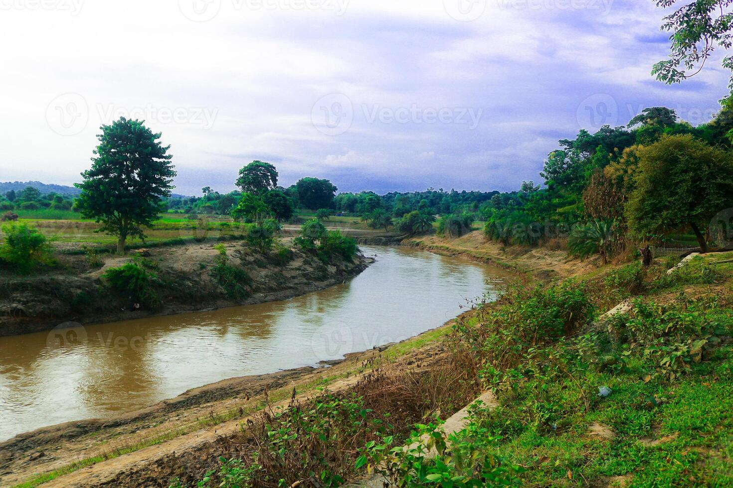 River in the forest at Chattogram province, Bangladesh. photo