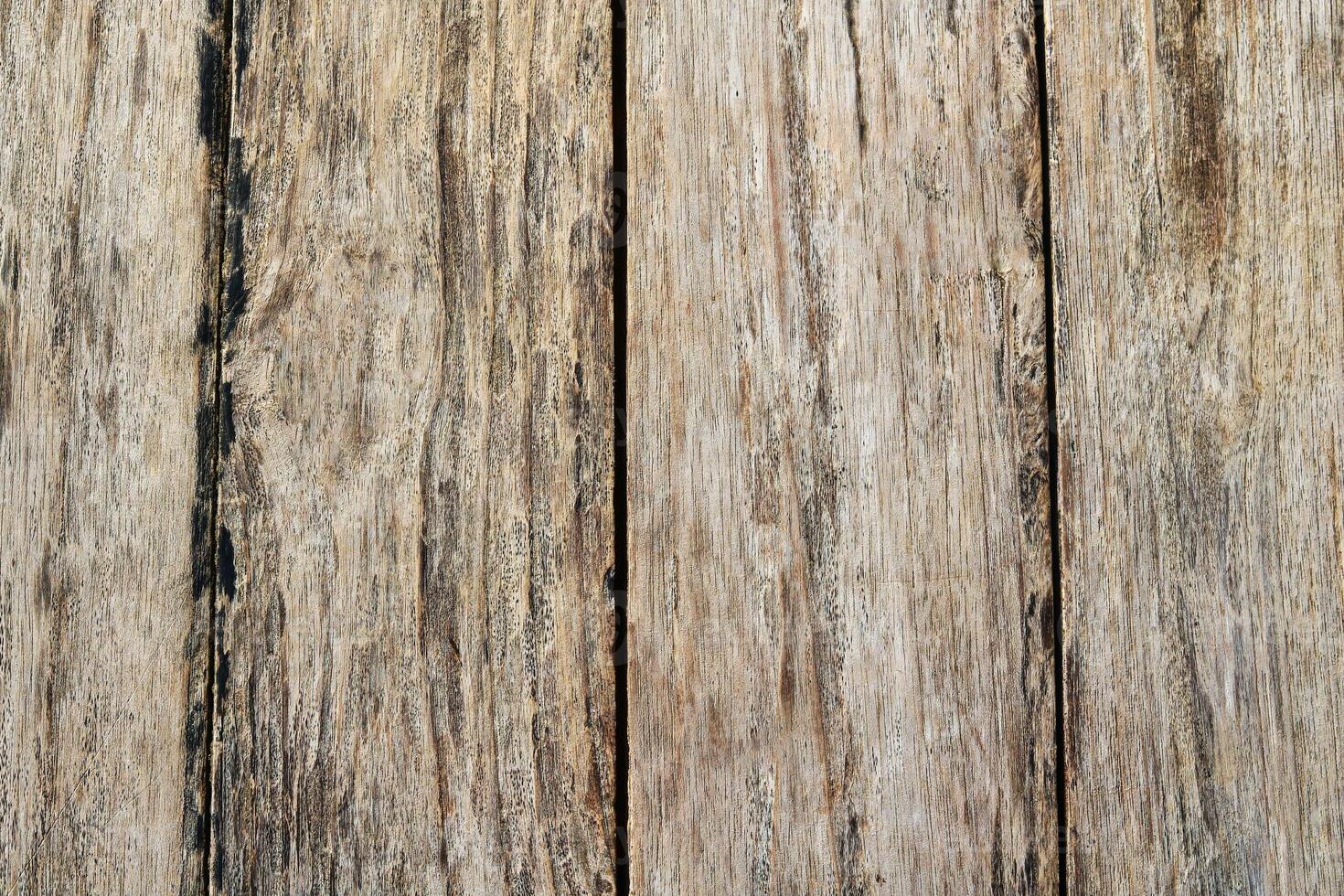 Old wood texture background surface with an old natural pattern photo