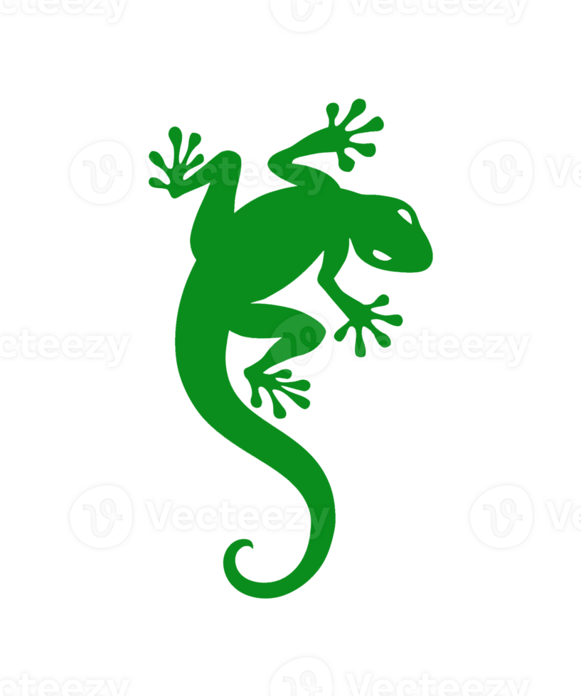 Lizard isolated on transparent background png