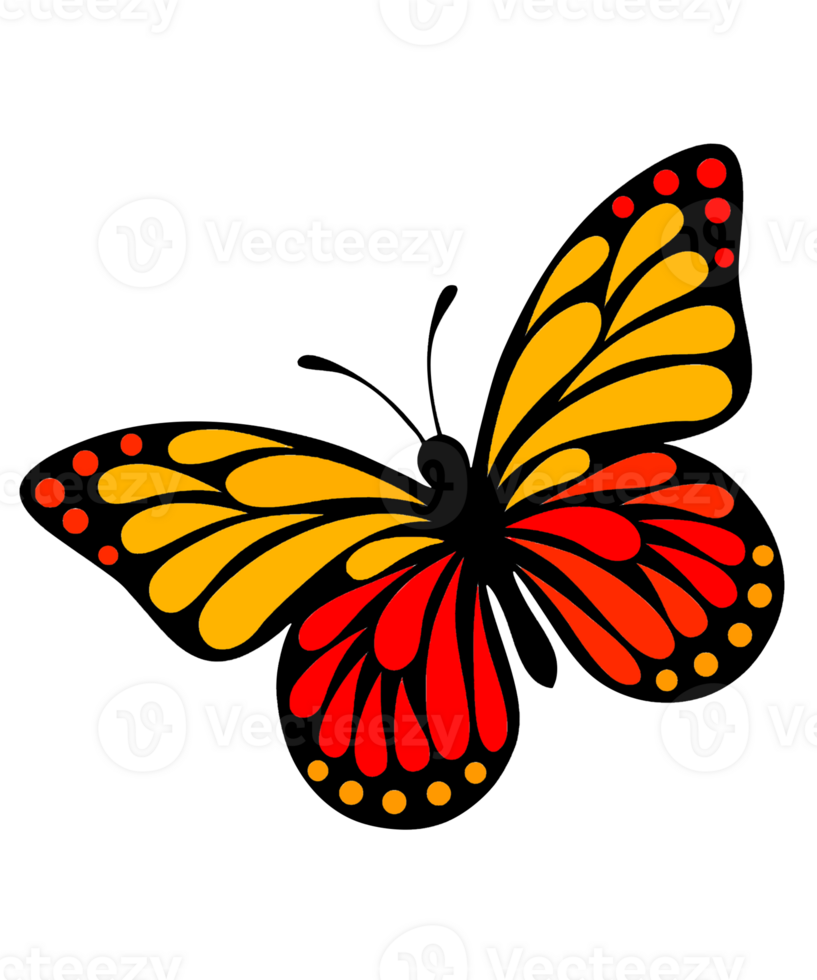 Butterfly isolated on transparent background png