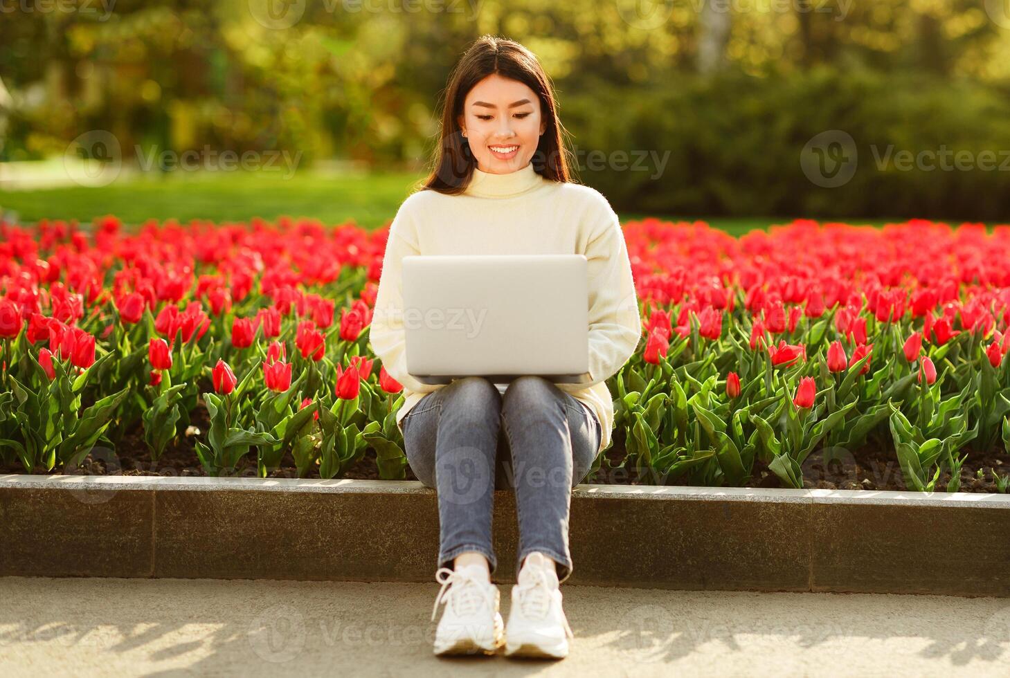 Asian young woman is sitting on a park ledge surrounded by blooming red tulips, using a laptop on a sunny spring day. She appears focused and happy in the vibrant garden setting. photo