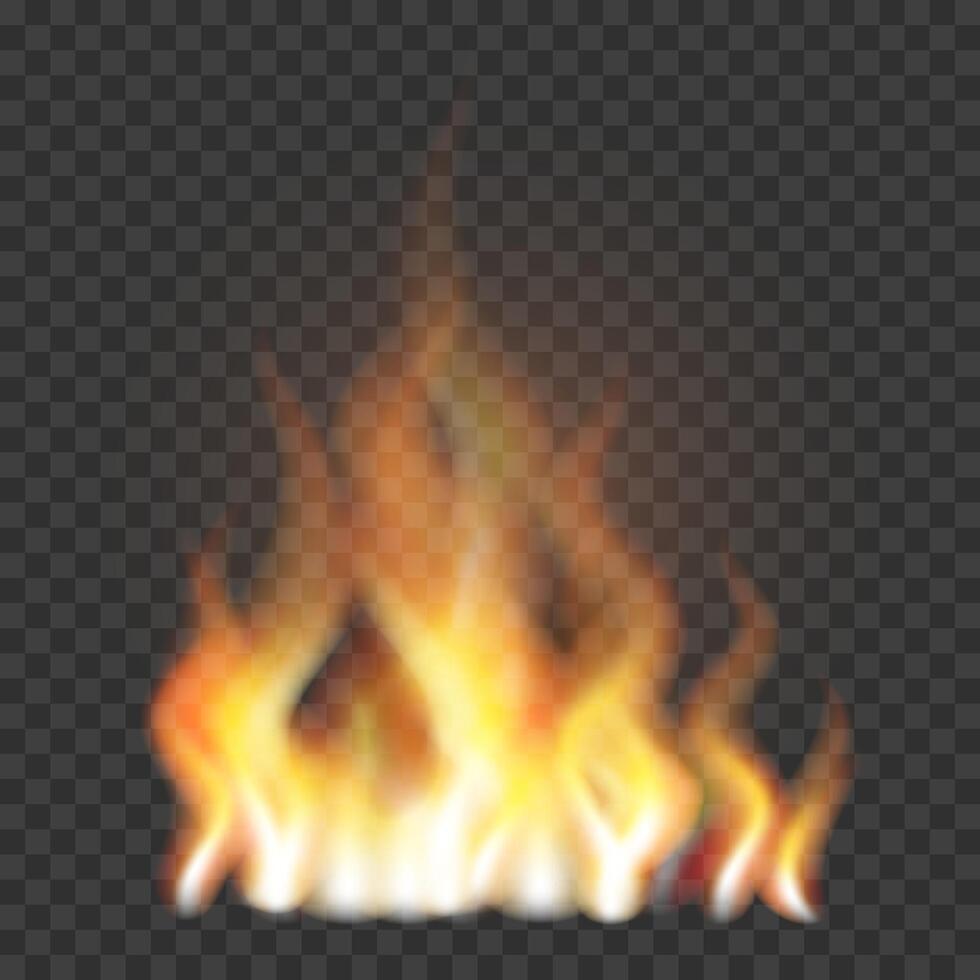 Flame. Realistic fire illustration. The fire is burning. Light effect. vector