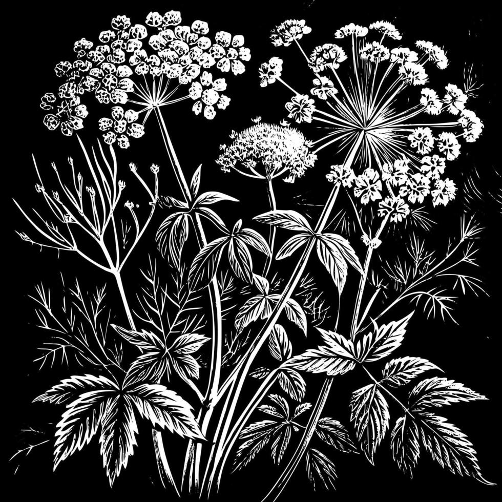 Black and White Botanical Illustration with Detailed Floral Patterns and Foliage vector