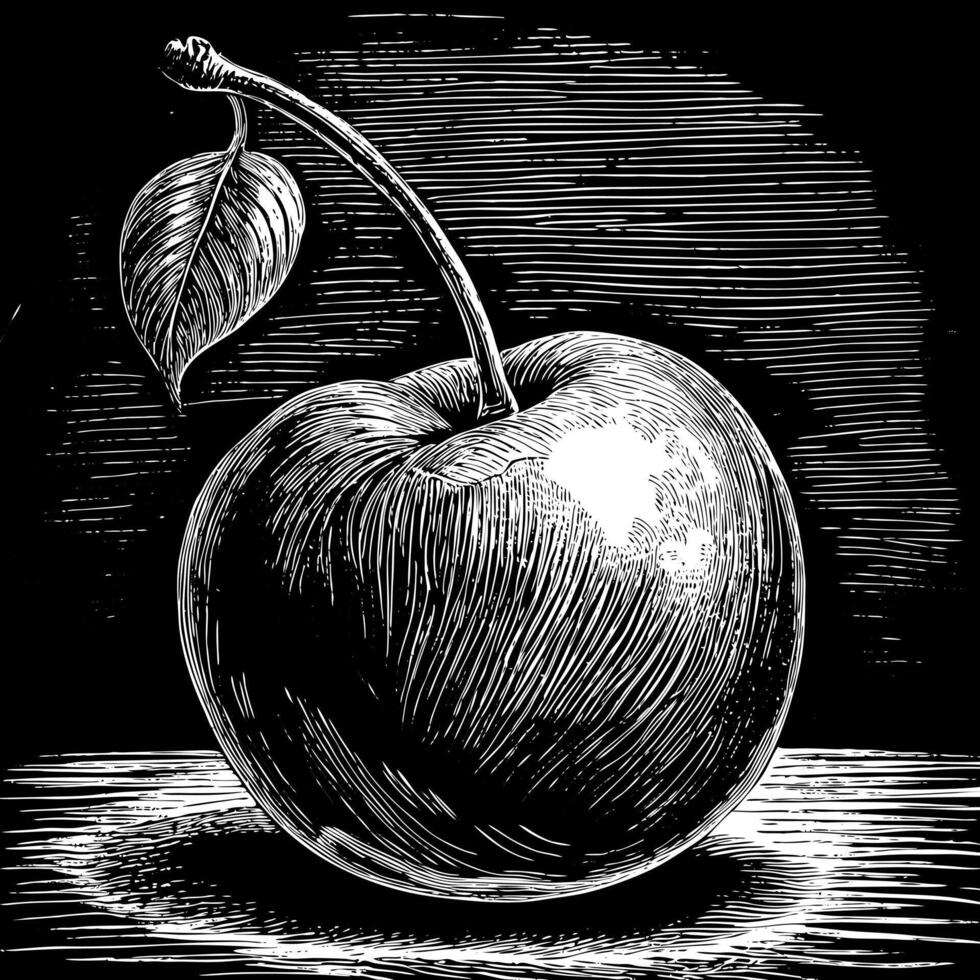 Black and White Engraving of a Cherry with Leaf Vintage Fruit Illustration vector