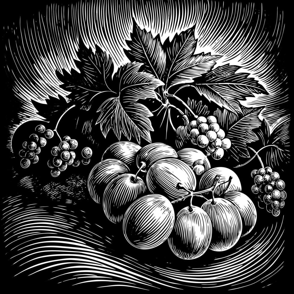 Engraved Grapes and Leaves Illustration in Black and White Detailed Vintage Art vector
