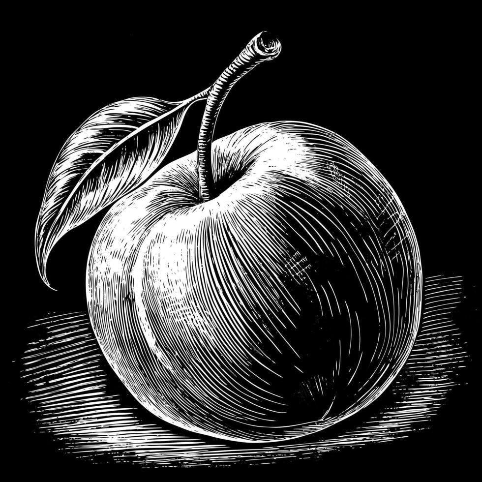 Black and White Vintage Apple Illustration with Intricate Details vector