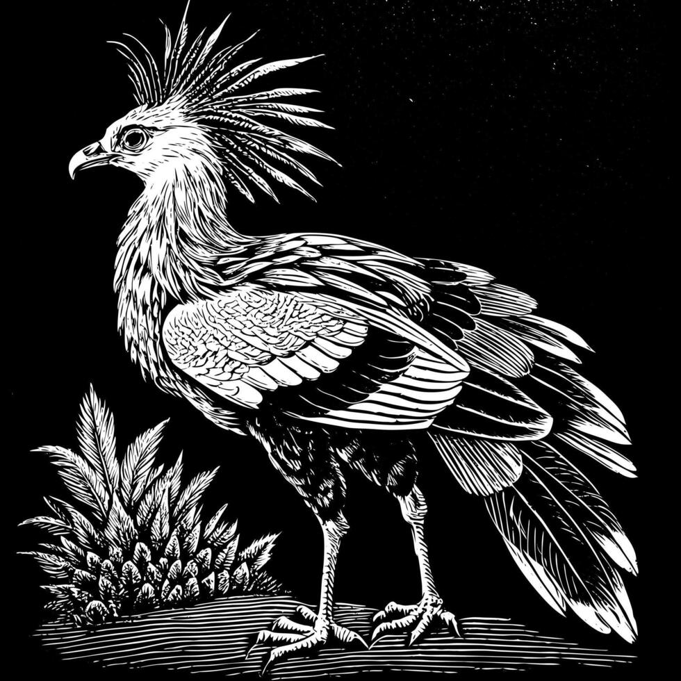 Elegant Black and White Illustration of a Majestic Bird with Detailed Feathers and Spiky Crest vector