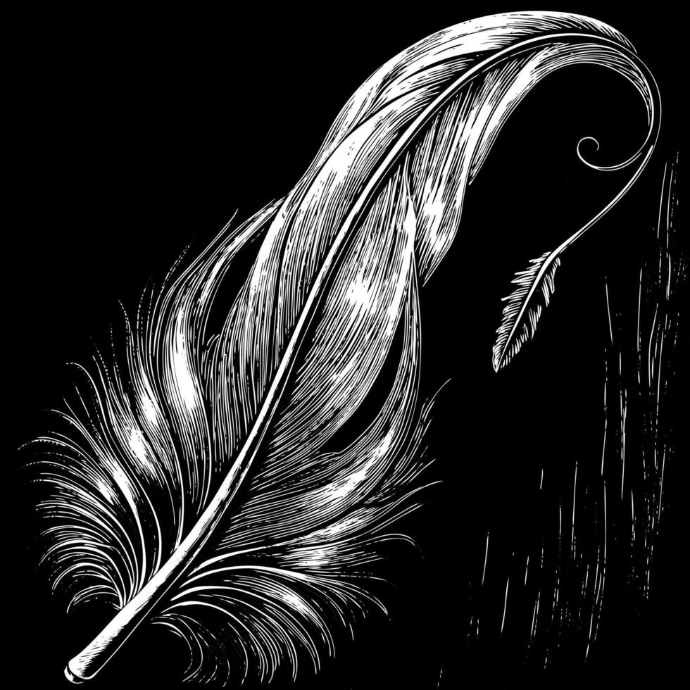 Elegant Feather Illustration on Black Background Vintage Ink Drawing vector