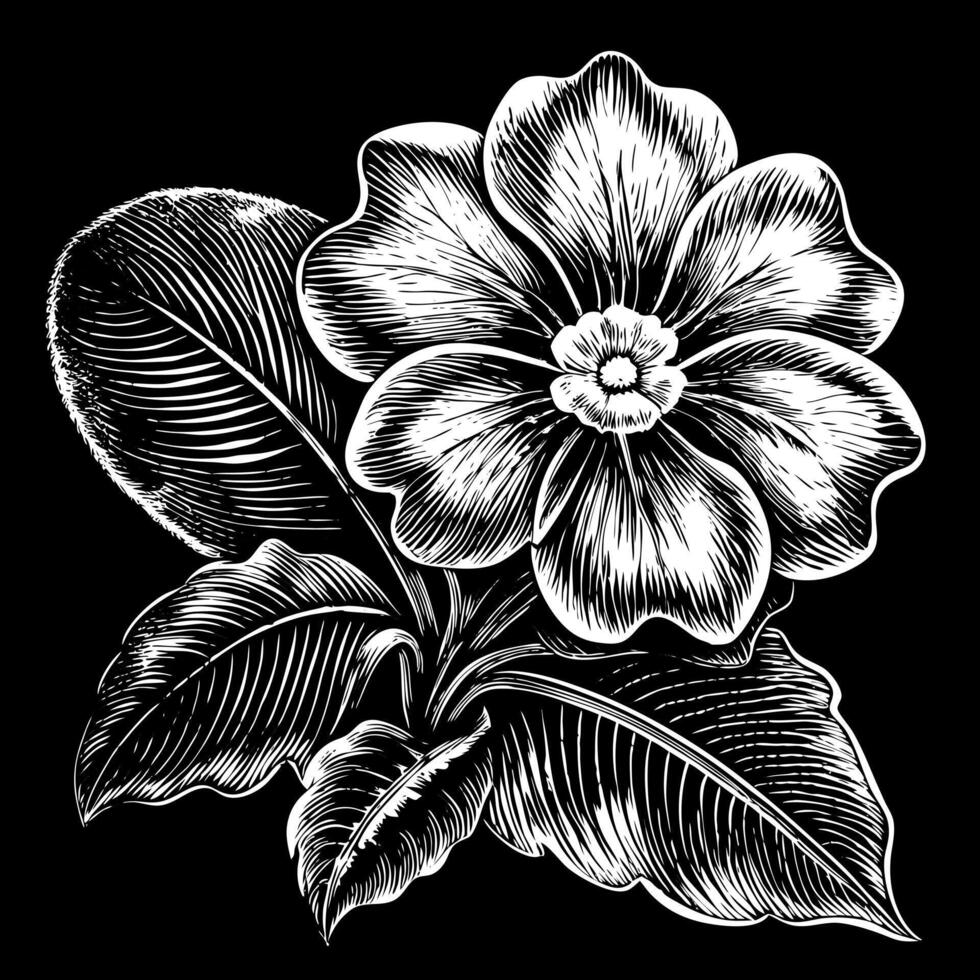 Vintage Engraving Style Black and White Floral Illustration on Black Background vector