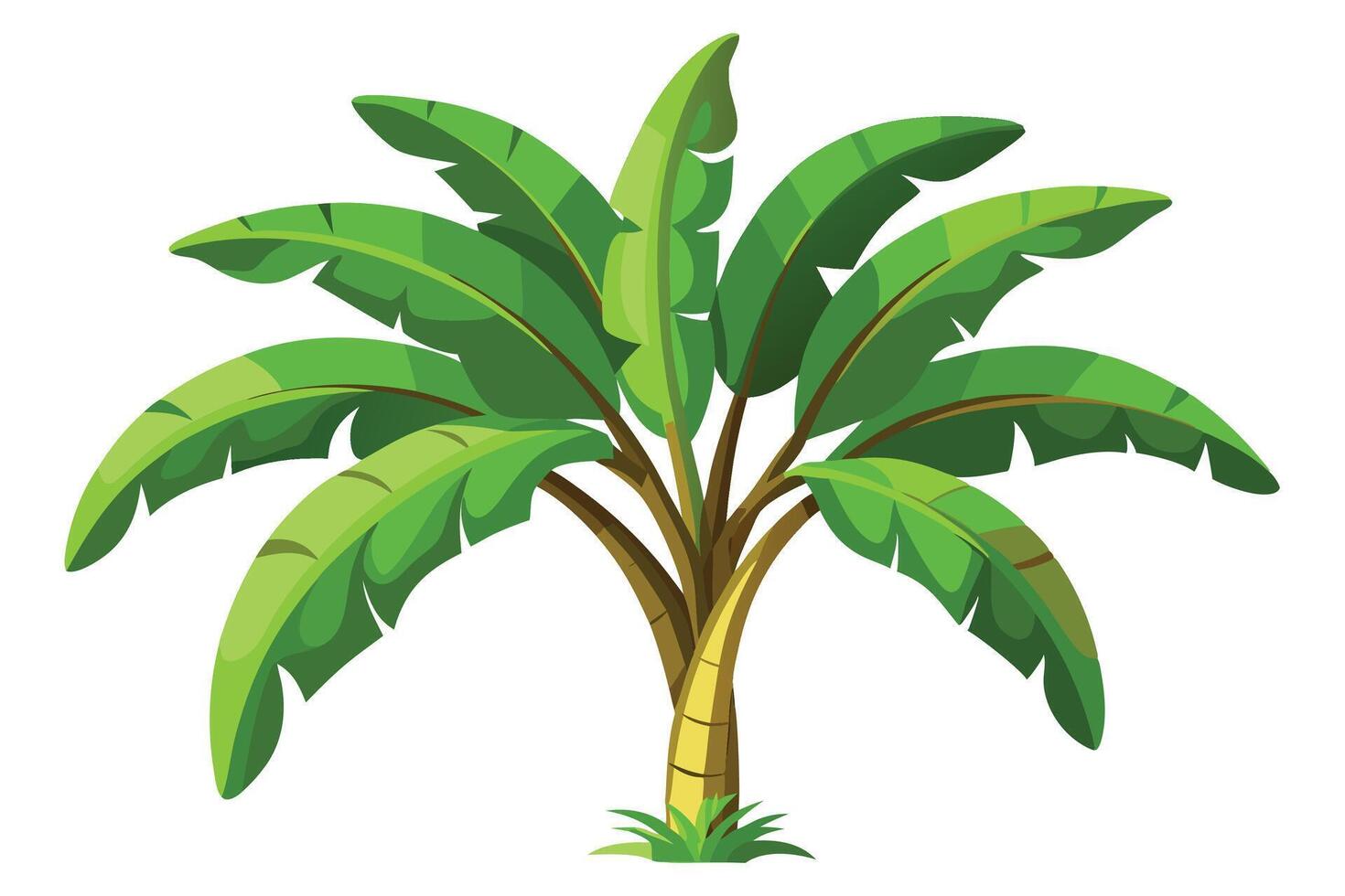Lush Green Banana Tree vector