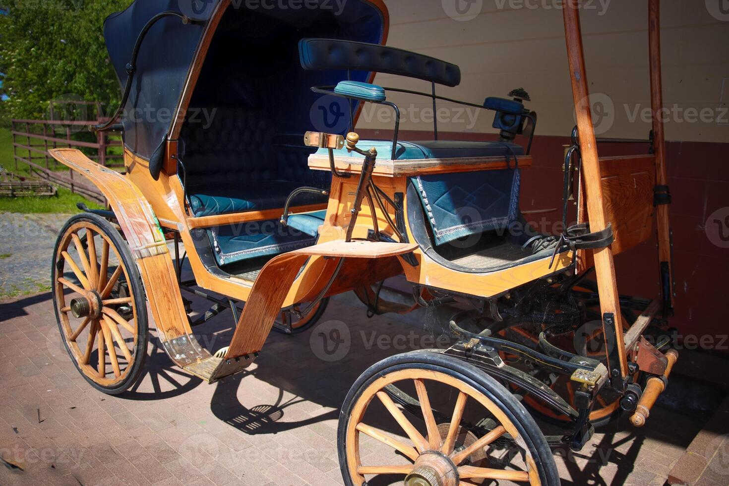 Carriage for horse harness for the nobility photo