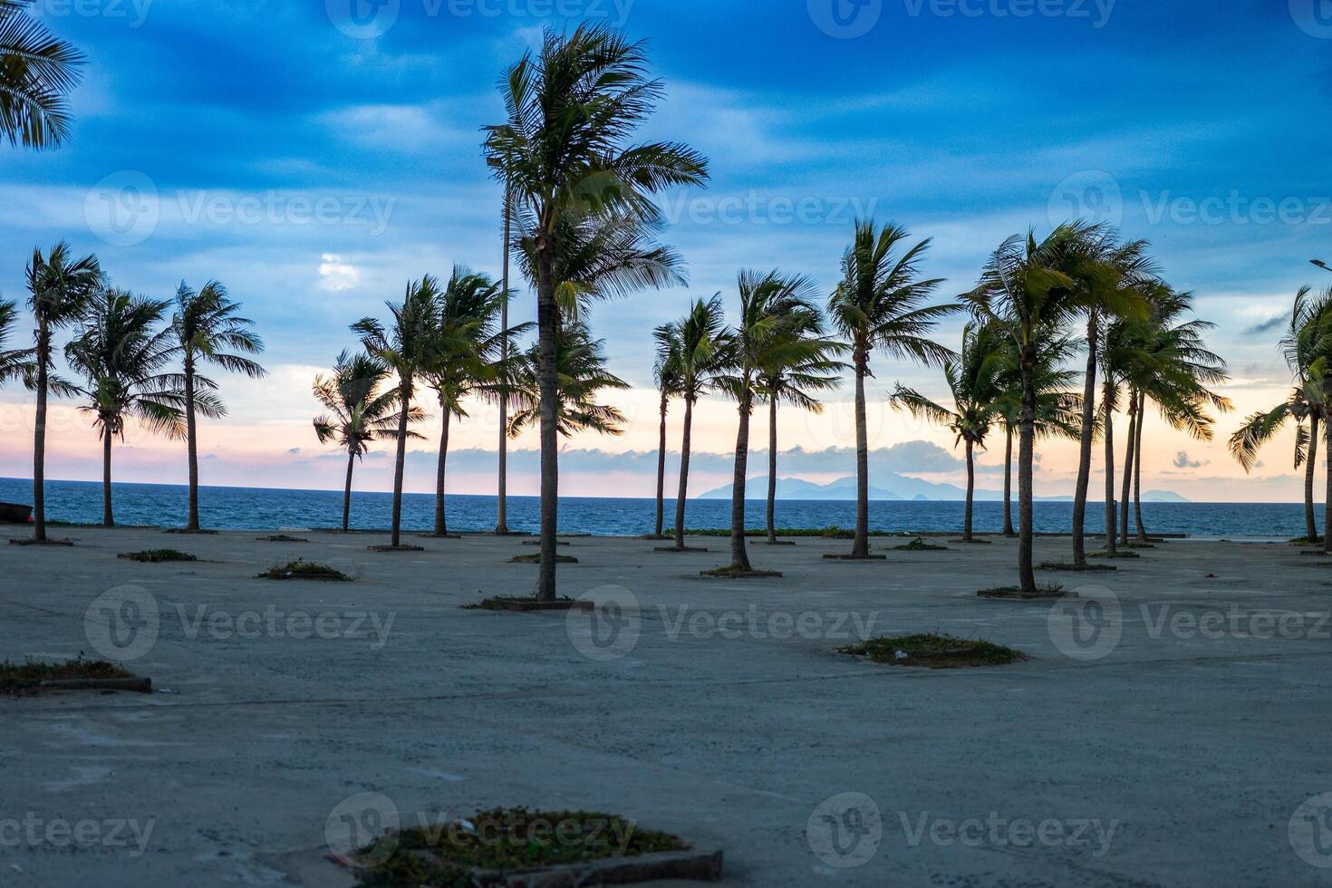 Palm trees on the beach with beautiful clouds photo