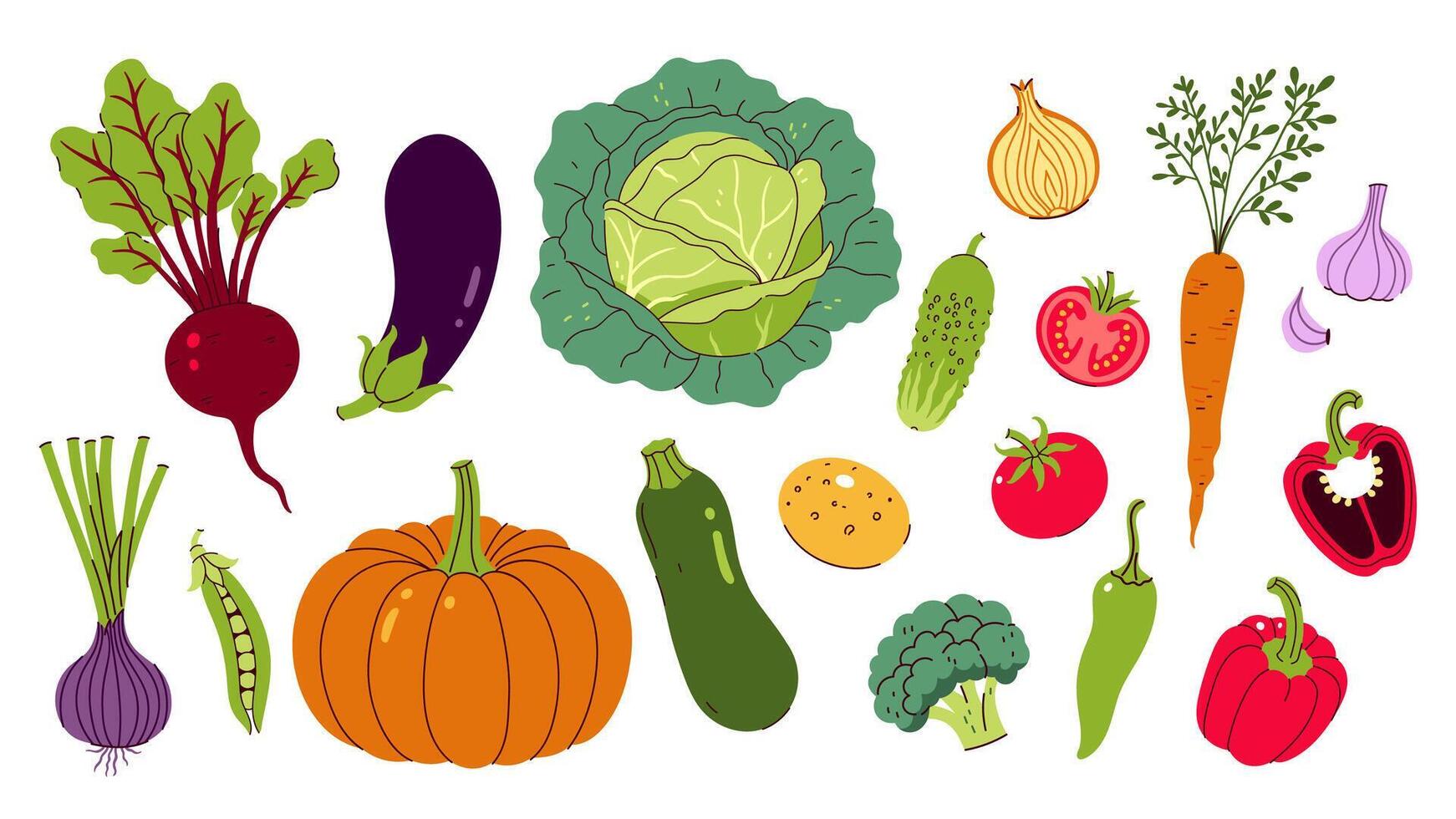 Set of different vegetables isolate on white background. graphics. vector