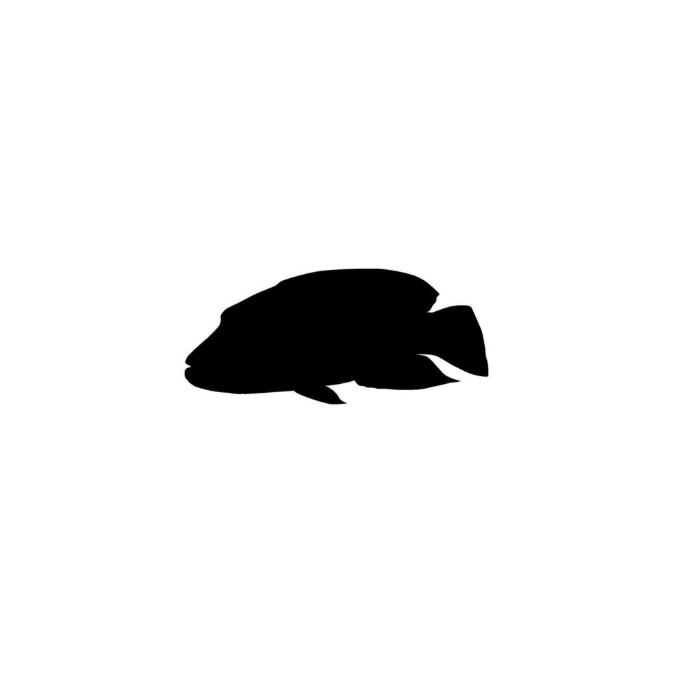 Silhouette of the The Humphead wrasse, Cheilinus undulatus, also known as the Maori wrasse, Napoleon wrasse, Napoleon fish. Flat Style, can use for Logo Gram, Animal Illustration, Pictogram, ect vector