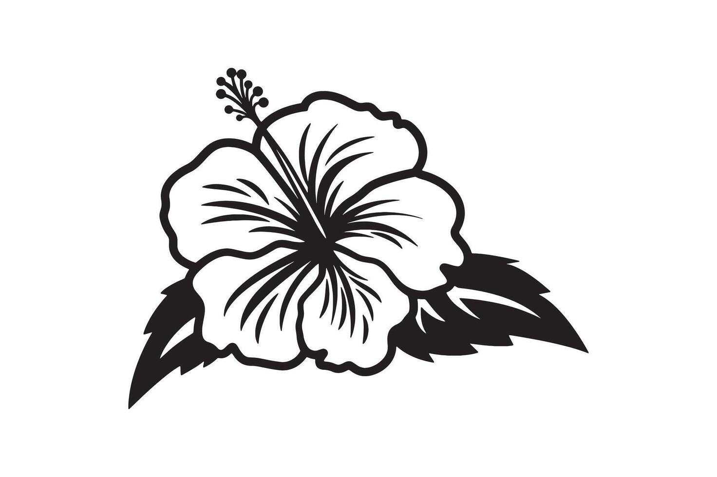 One single Hawaiian tropical flower illustration. vector