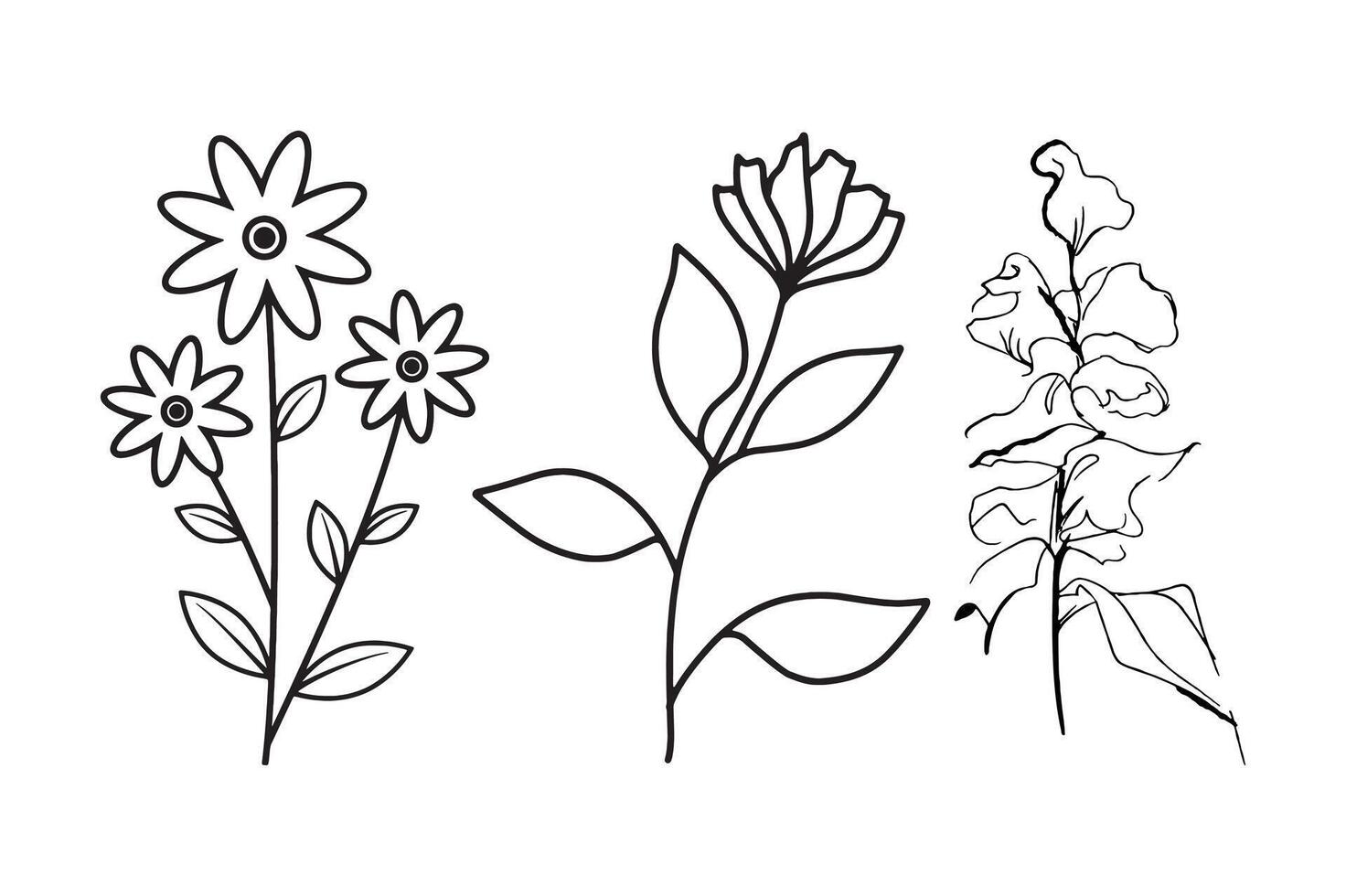 Three simple floral sketches, each featuring different flowers with distinct stems and leaves in a clean, minimalist style. vector