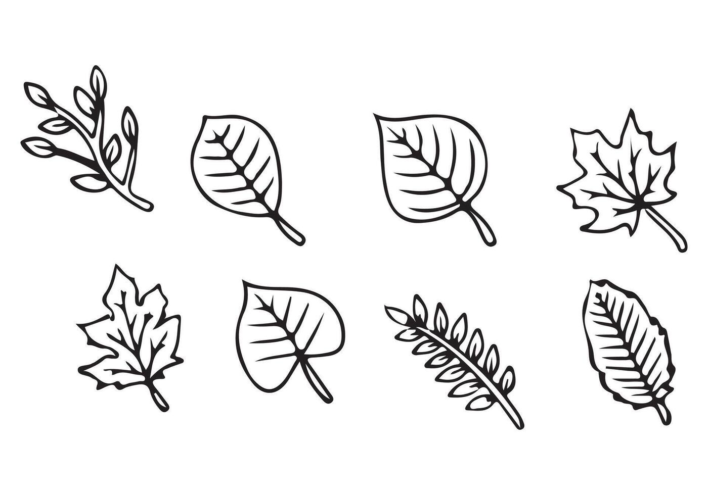 Dry autumn fall leaf doodle vector