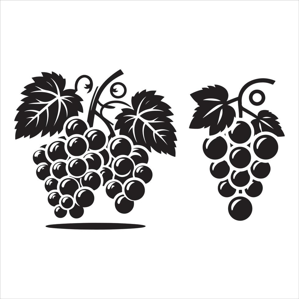 grape fruit silhouette graphic in art vector