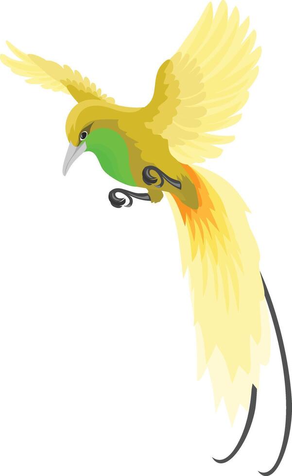 Bird of paradise with flying style, typical bird of Papua Indonesia vector