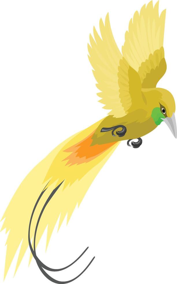 Bird of paradise with flying style, typical Papuan bird vector