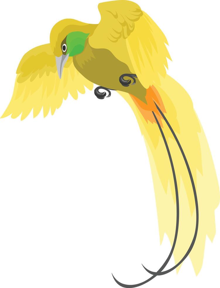 bird of paradise with flying style vector
