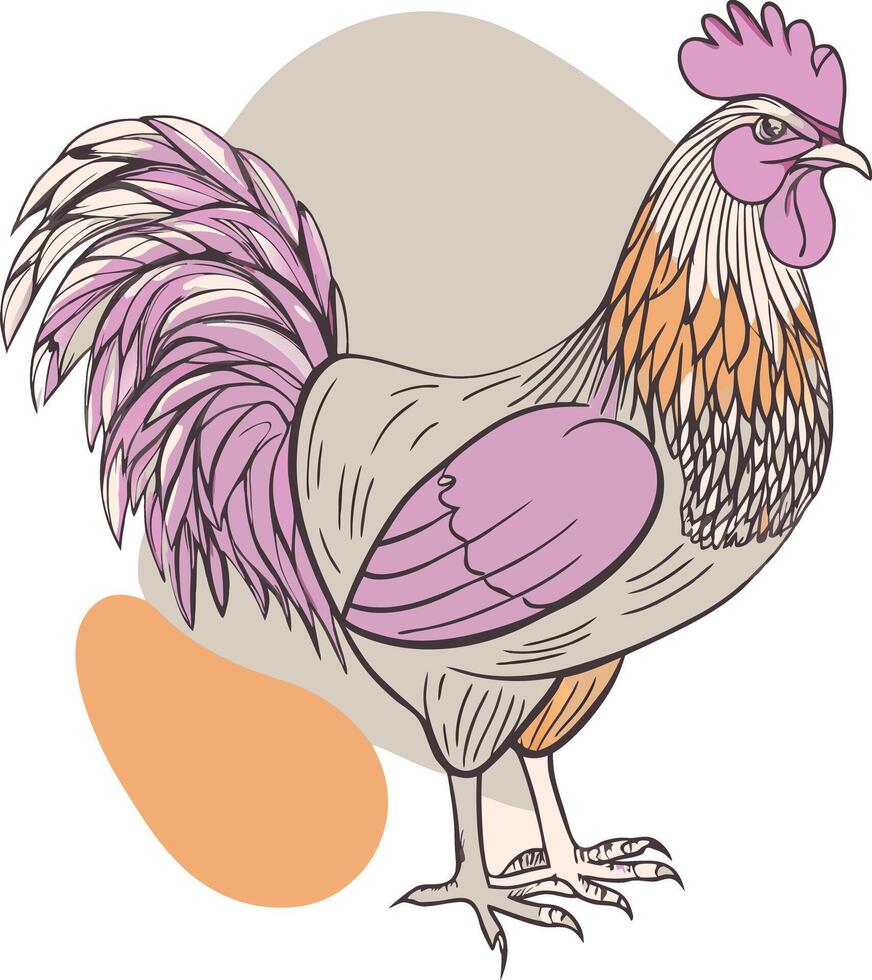 A rooster with a pink and purple feather on its head vector