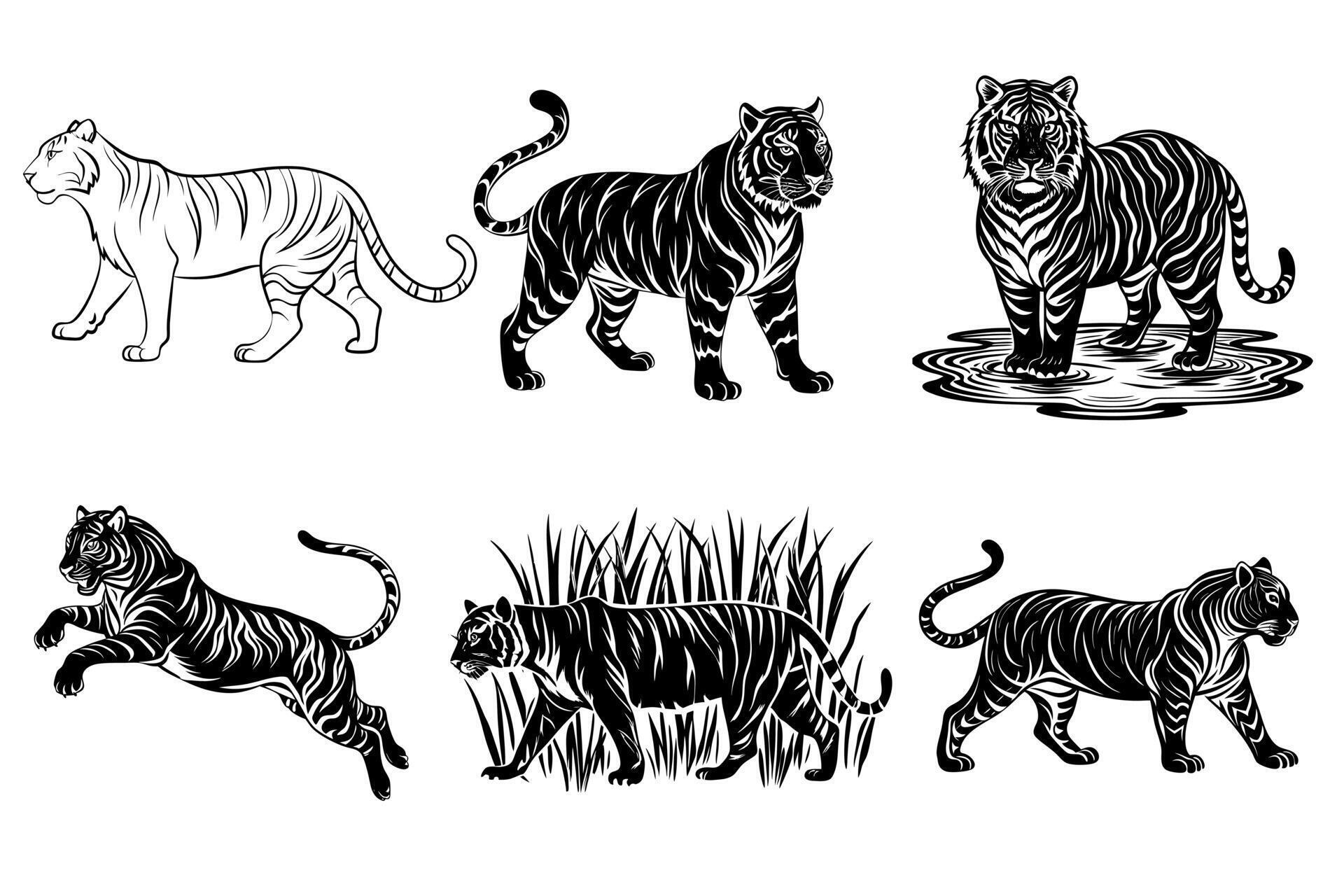 A set of Tiger Silhouette. Black Tiger Silhouette collection 50615327