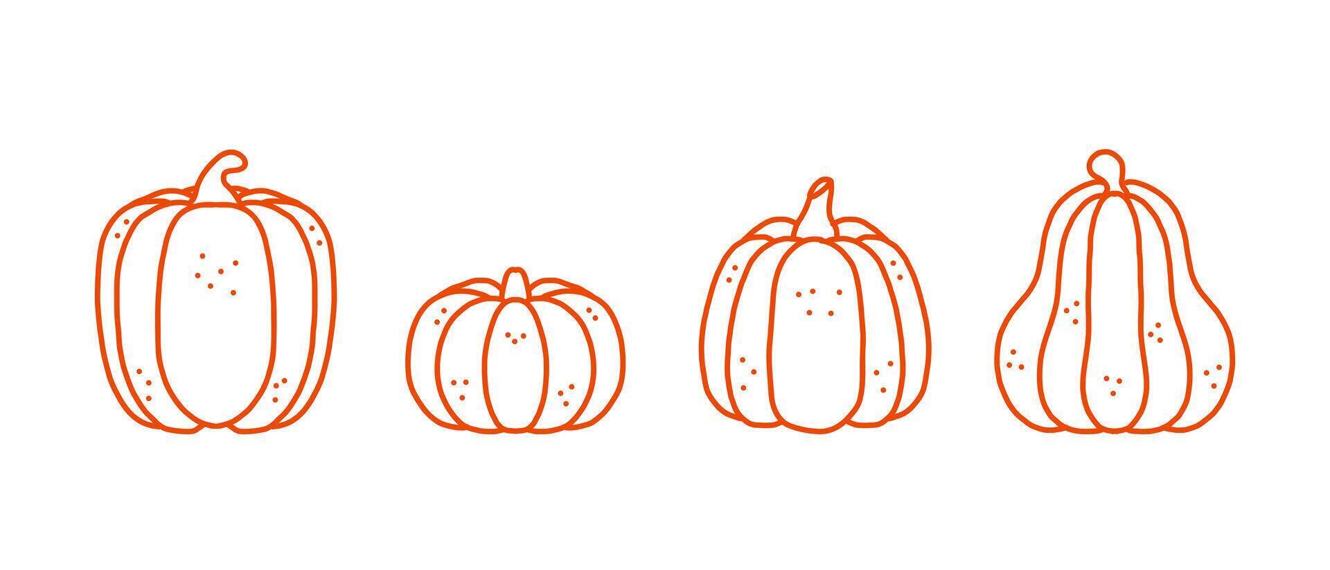 Set pumpkin hand drawn sketch Vegetables illustration, element for labels backdrop, packaging and greeting card. vector