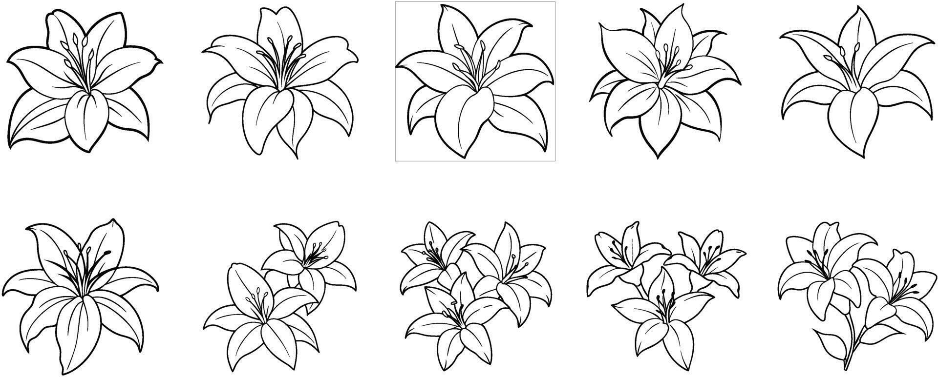 Abstract lines, various lily patterns vector