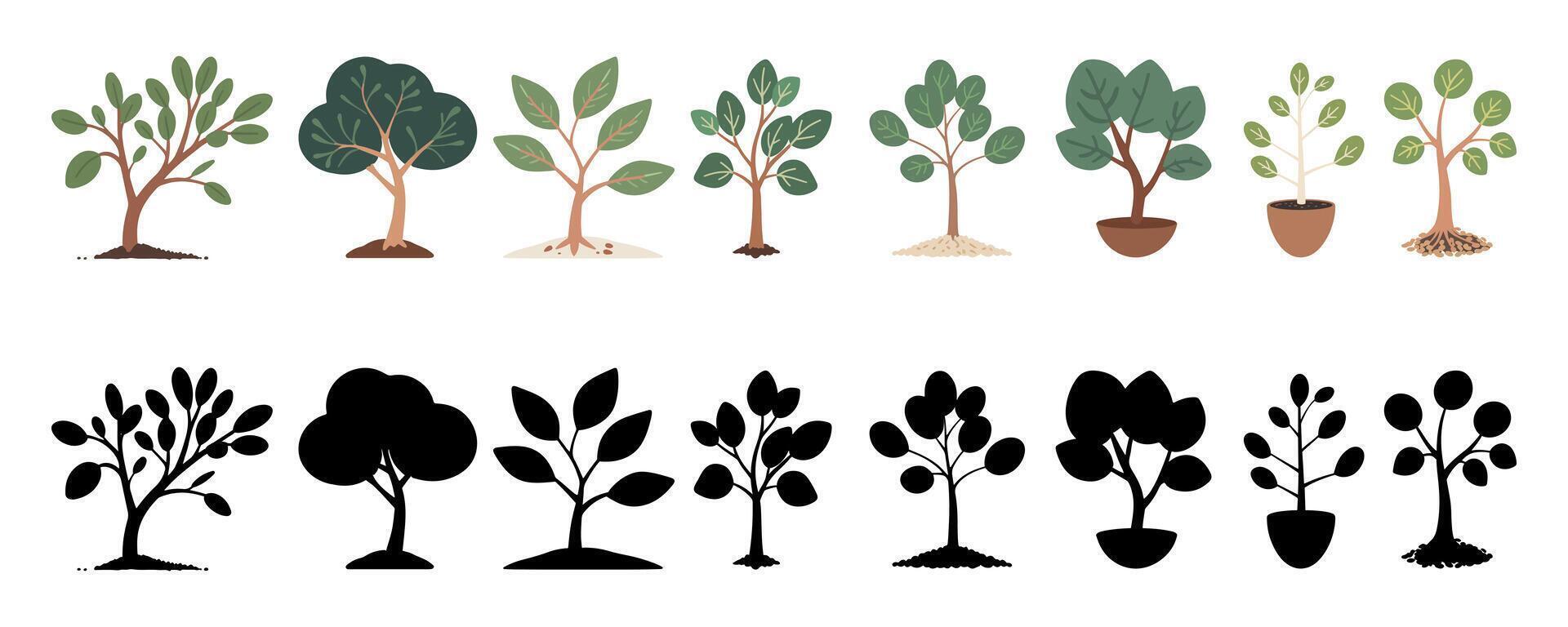 Set of Silhouettes of Growing Trees vector