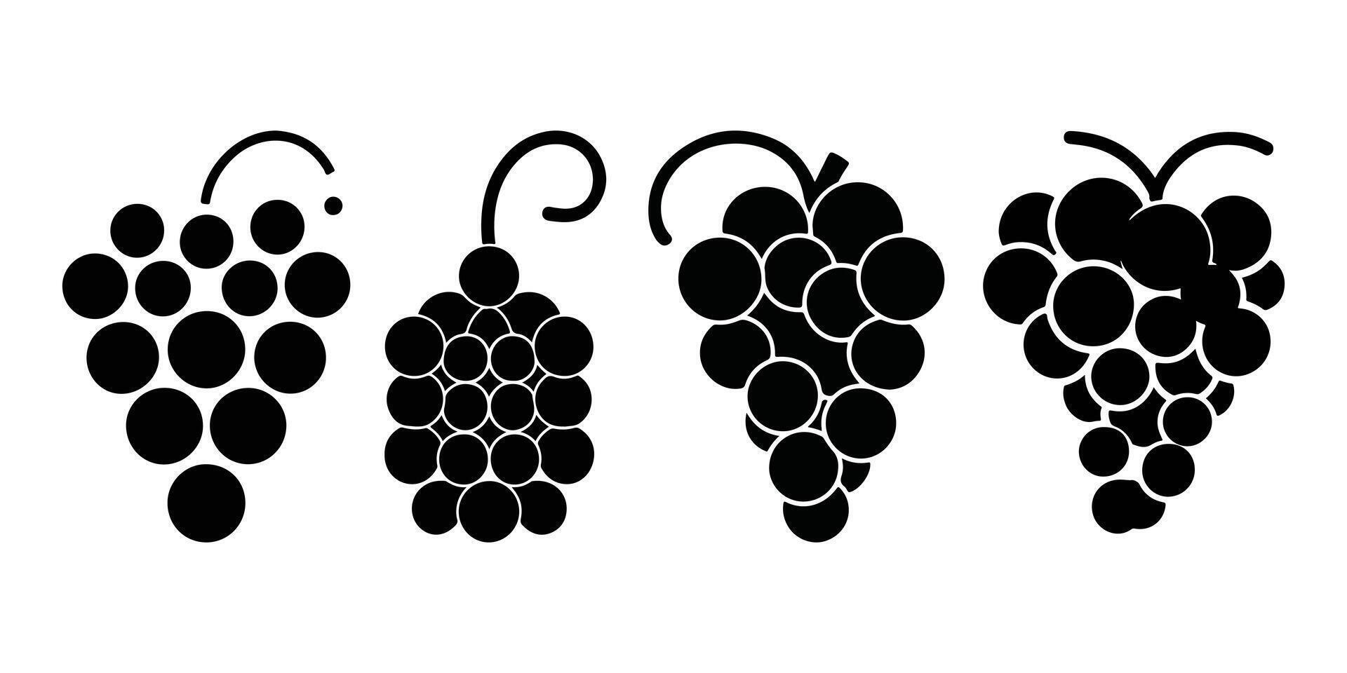 Black Cluster of Grapes Illustration vector