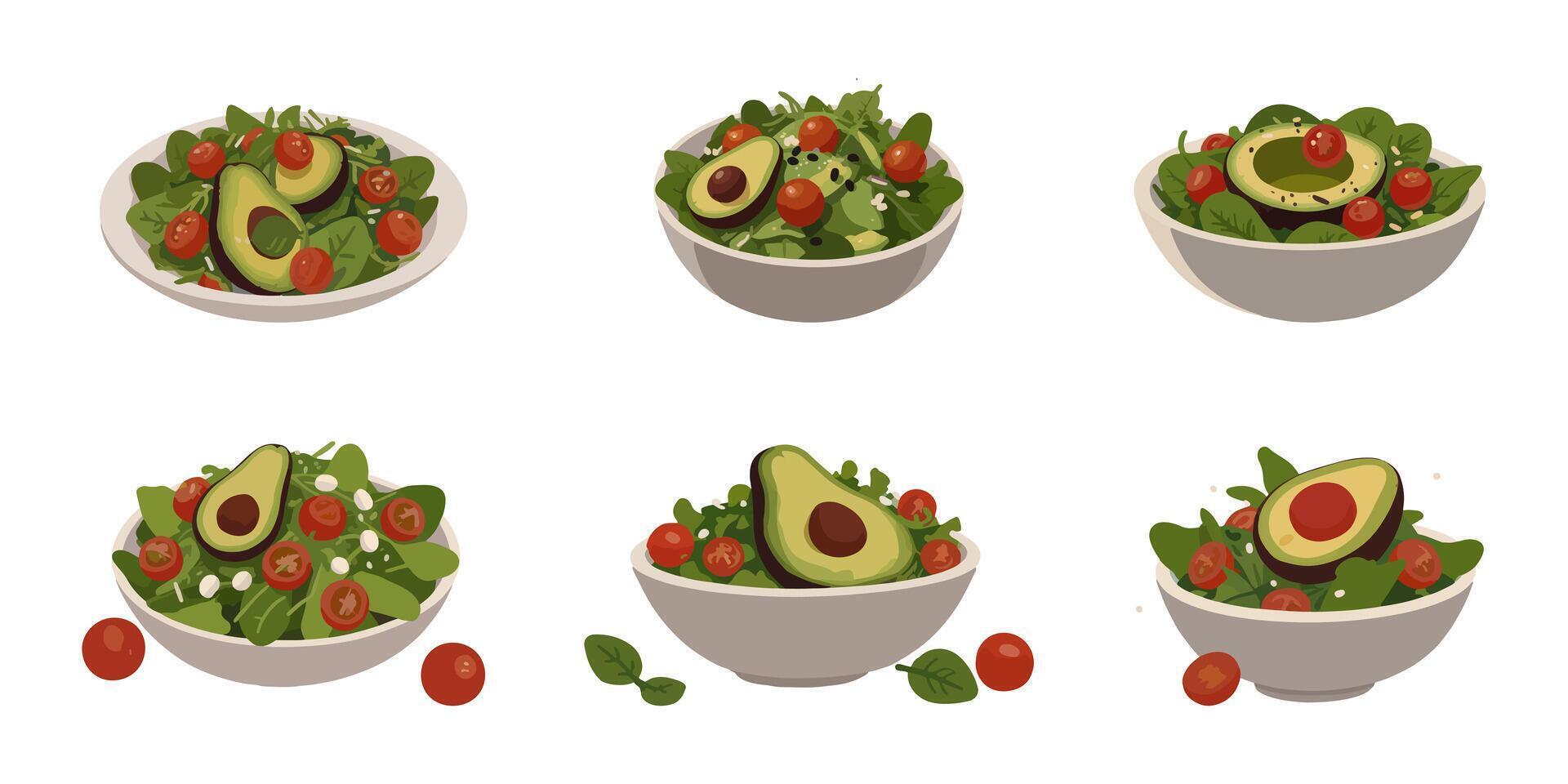 Set of Avocado Salad Bowl vector