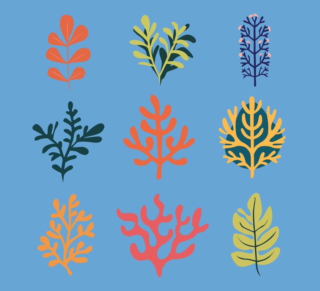 Set of seaweed icons in flat style vector
