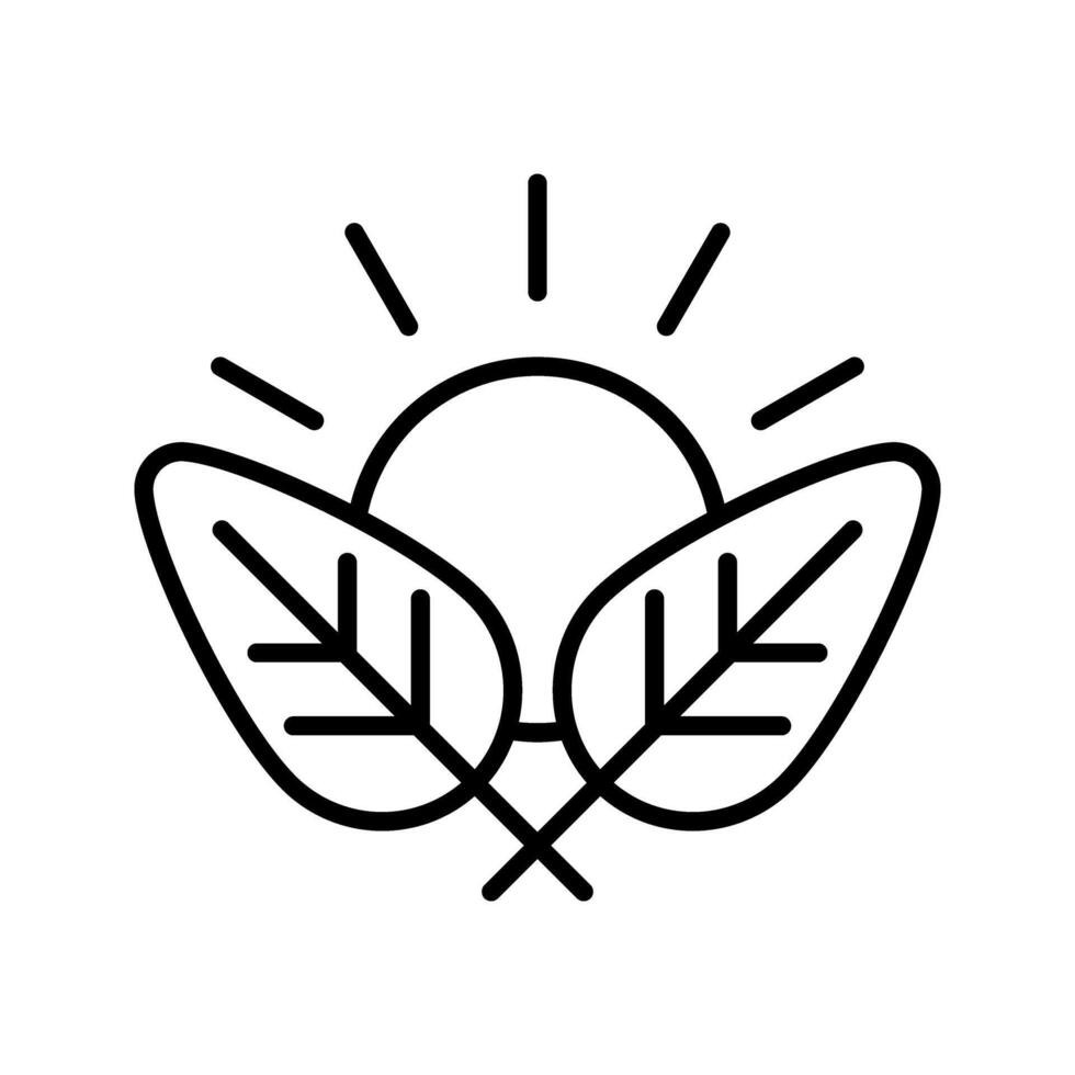 leaves with sunrise icon vector