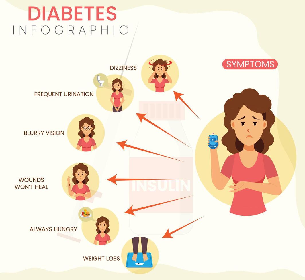 Key Symptoms of Diabetes Infographic Overview of Common Indicators vector