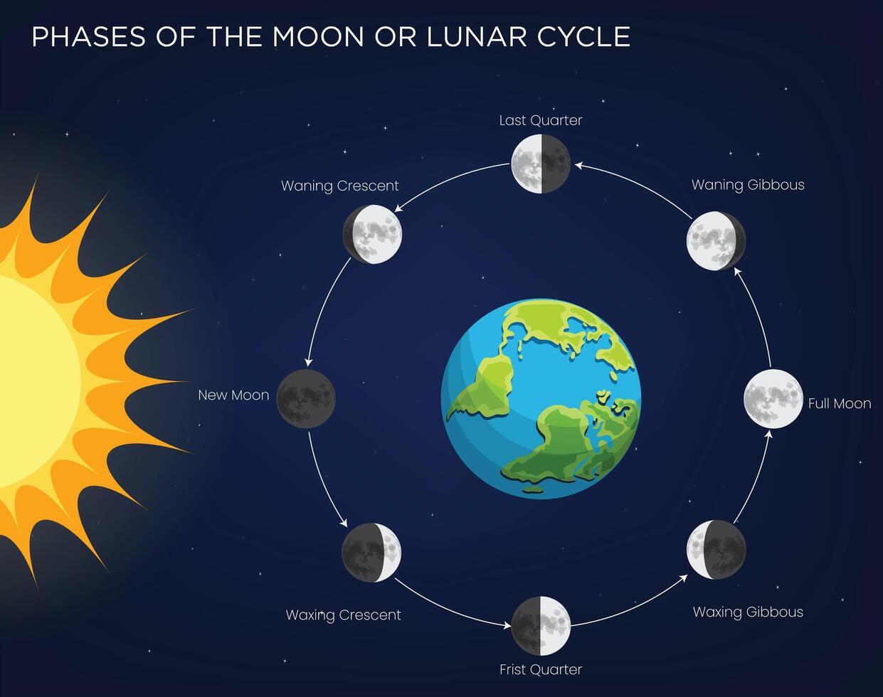 Phases of the Moon Exploring the Lunar Cycle and its Impact on Earth vector