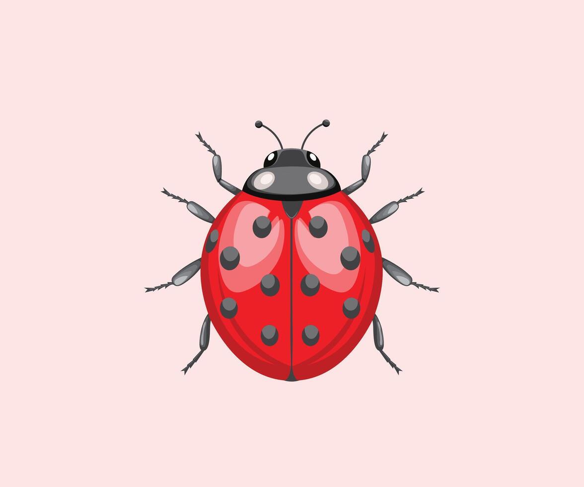 Ladybug Beneficial Beetle with Bright Colors and Natural Pest Control Abilities vector