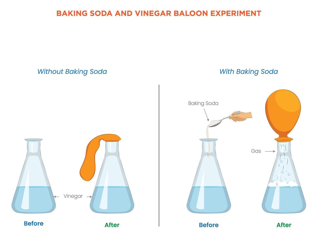 Baking Soda and Vinegar Balloon Experiment Inflate a balloon using simple chemical reactions vector