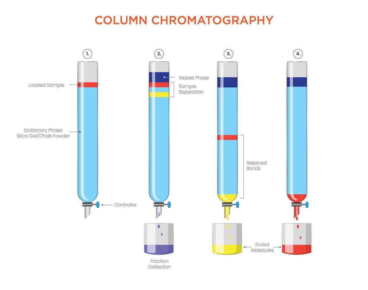 Efficient Separation Technique Column Chromatography vector