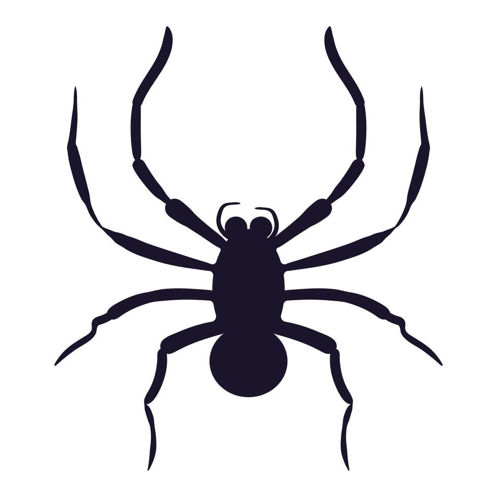 Spider. A black spider with long legs, representing Halloween, creepy crawlies, and fear of arachnids. vector