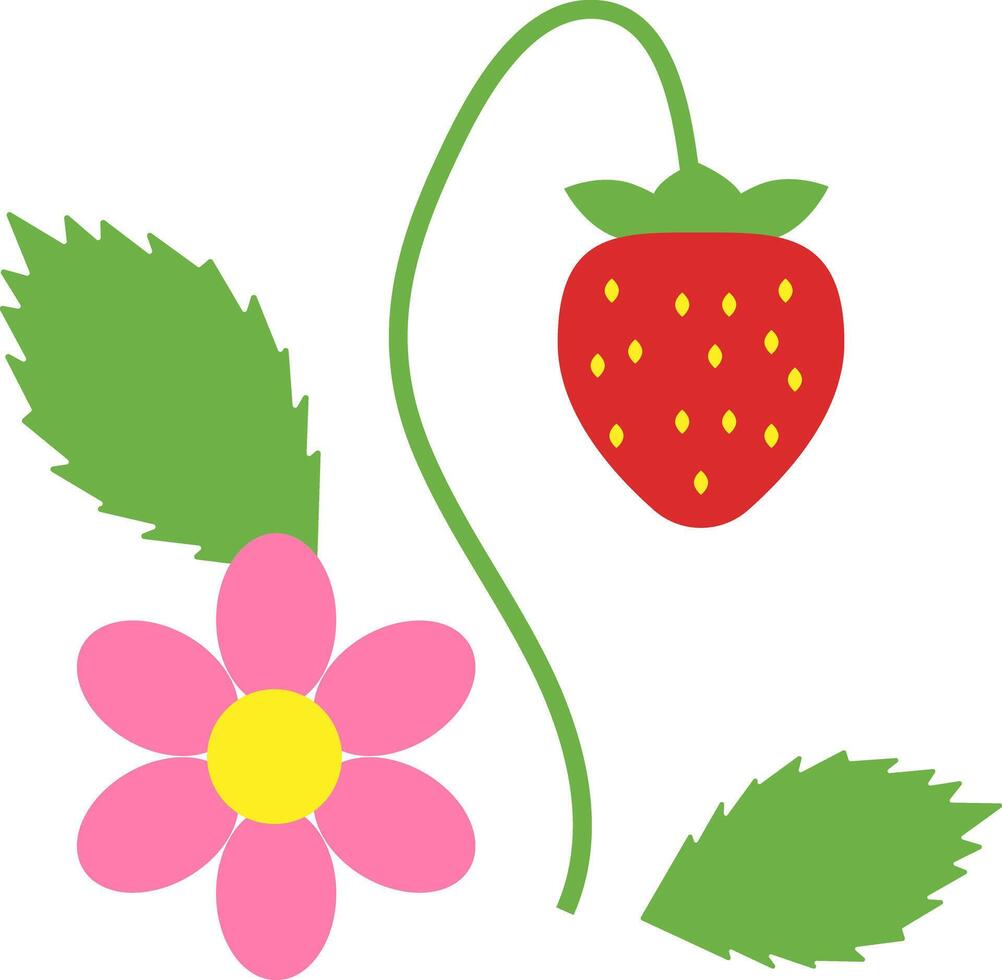 A stawberry with a pink flower. vector