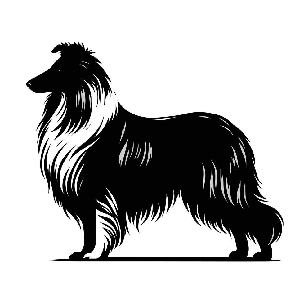 A black and white illustration of a collie dog vector