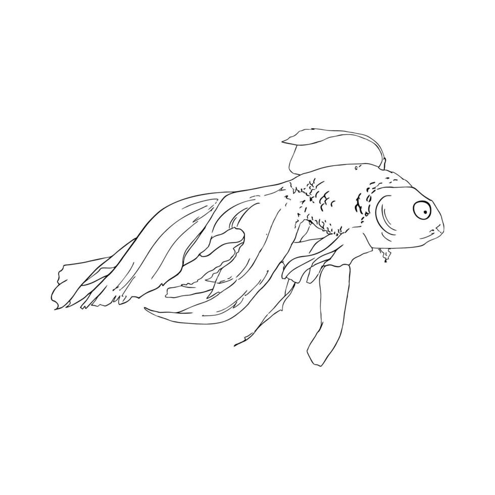 goldfish with a beautiful tail vector