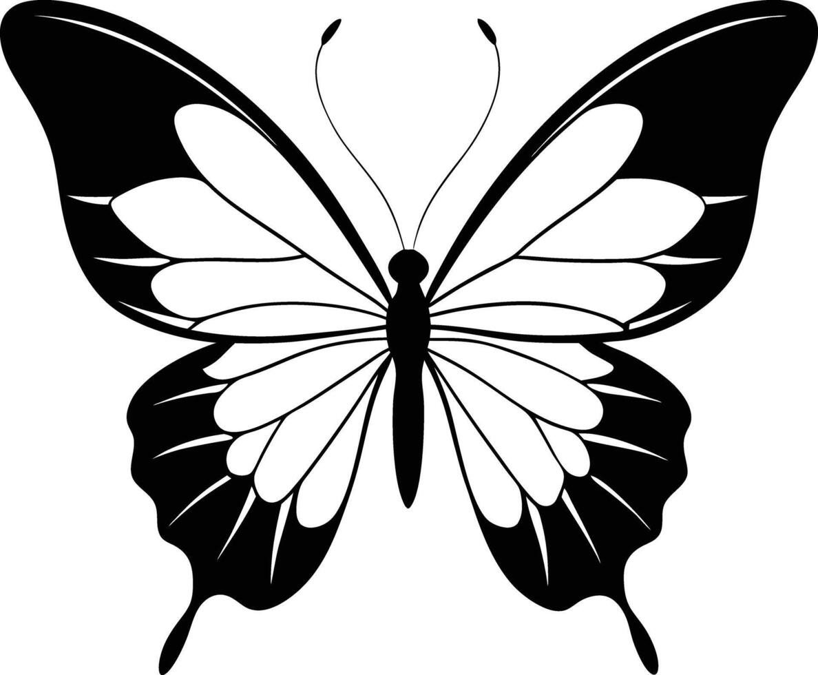 Butterfly Line Drawing vector