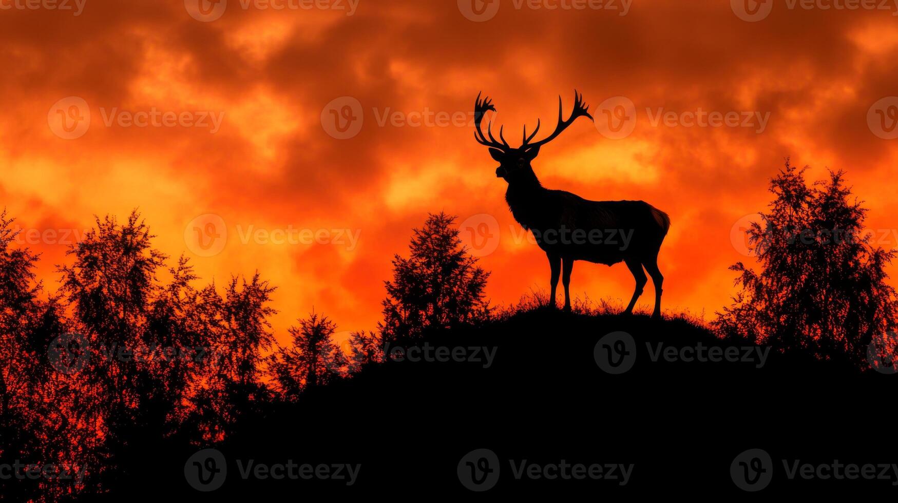 A deer stands on a hill with a sunset in the background photo